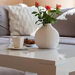 Rose In By Renters Apartment