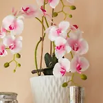 Apartment Rose In By Renters Kolberg