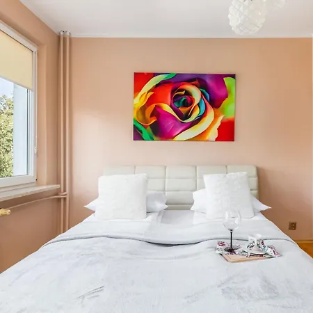 Rose In By Renters * 코워브제크